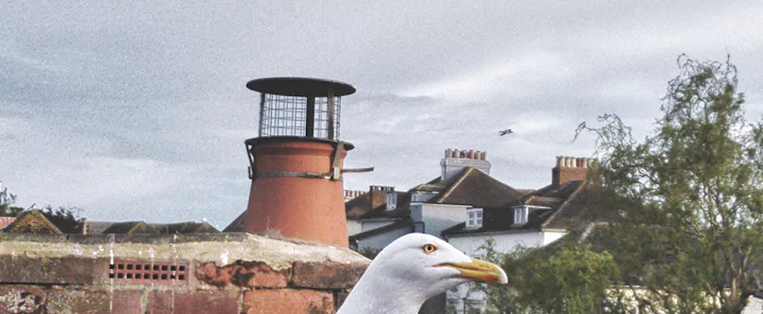 Chimney Cap Bird Guard Repair in Canton de Magog, Quebec