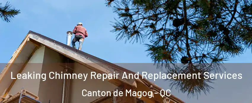  Leaking Chimney Repair And Replacement Services Canton de Magog - QC