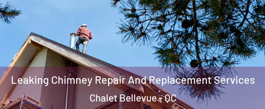  Leaking Chimney Repair And Replacement Services Chalet Bellevue - QC