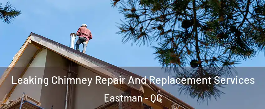  Leaking Chimney Repair And Replacement Services Eastman - QC