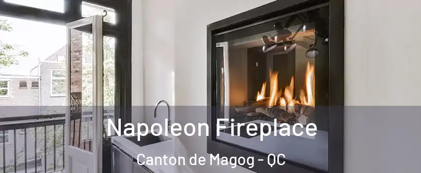 Napoleon Fireplace Canton de Magog - QC