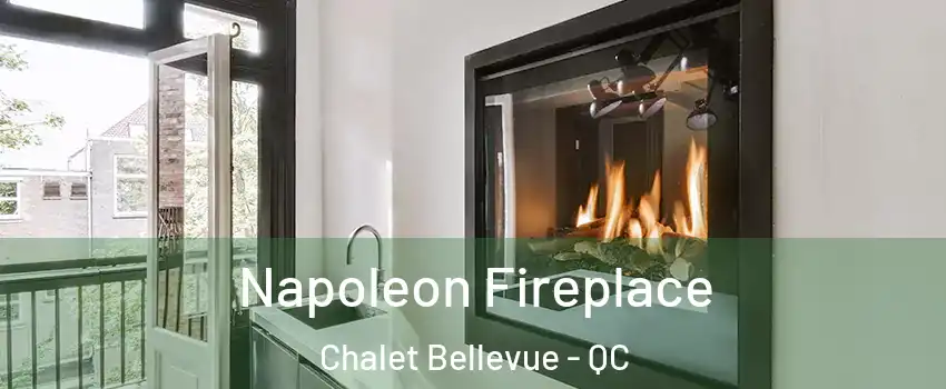  Napoleon Fireplace Chalet Bellevue - QC