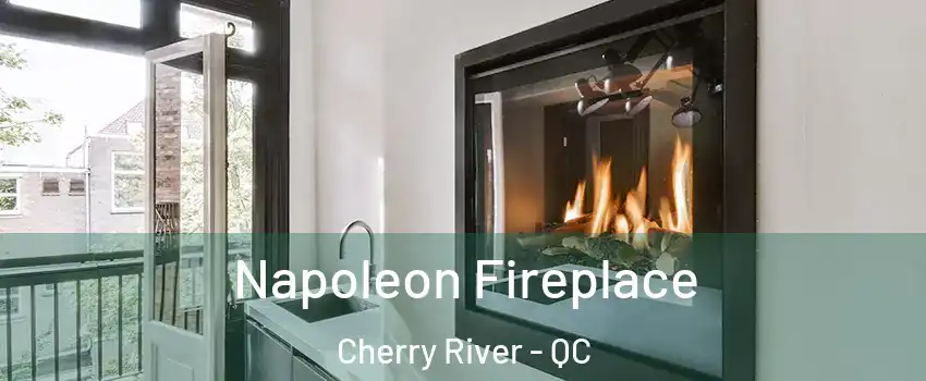  Napoleon Fireplace Cherry River - QC