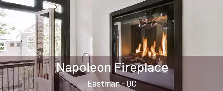  Napoleon Fireplace Eastman - QC