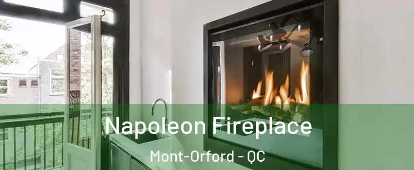  Napoleon Fireplace Mont-Orford - QC