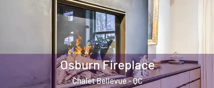  Osburn Fireplace Chalet Bellevue - QC