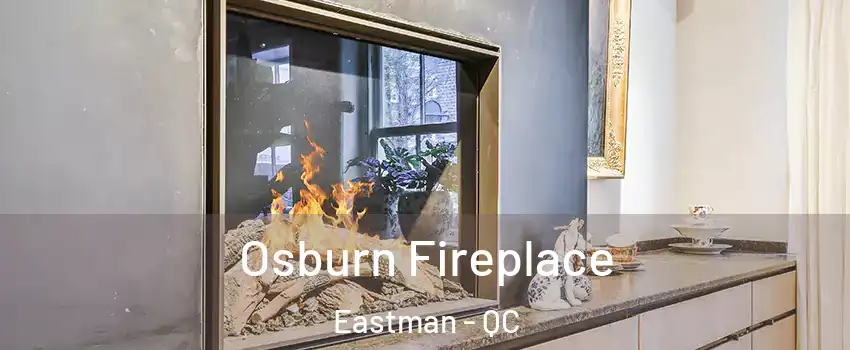  Osburn Fireplace Eastman - QC